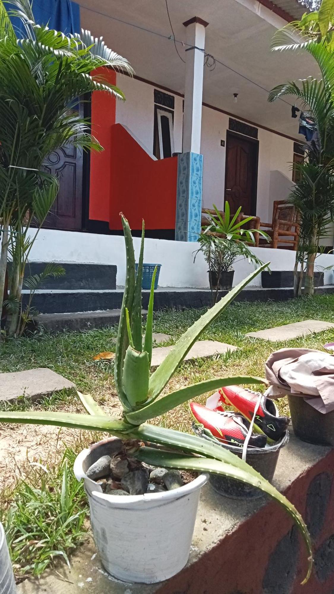 Roy Homestay Kuta Kuta  Buitenkant foto